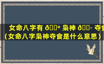 女命八字有 🌺 枭神 🌷 夺食（女命八字枭神夺食是什么意思）